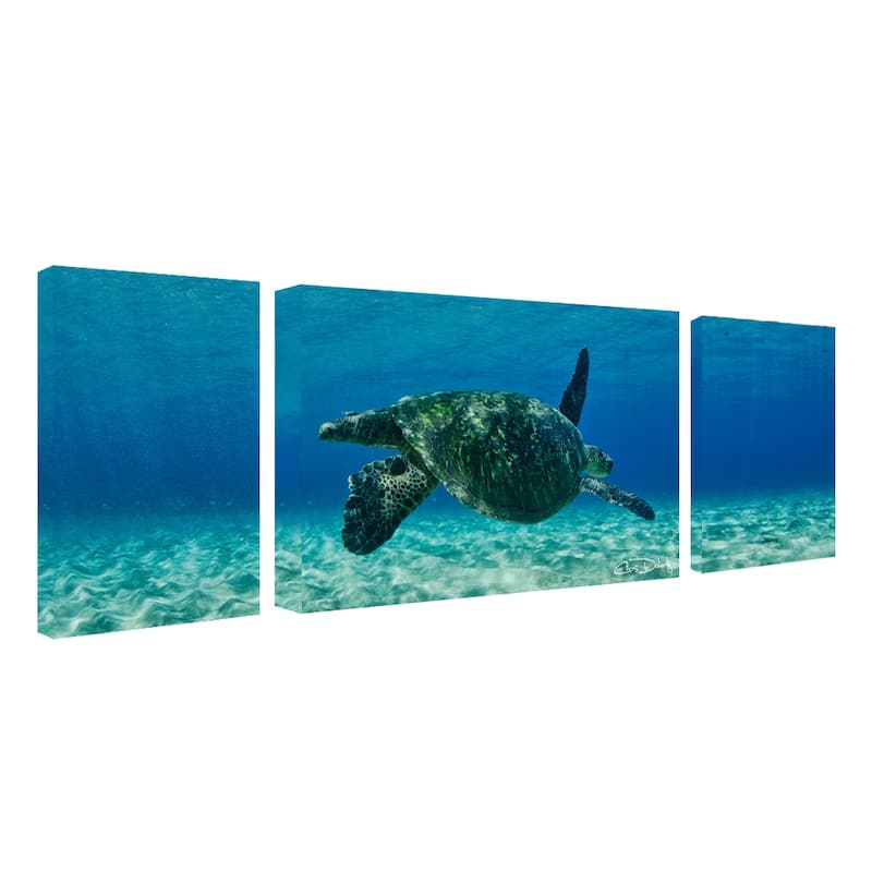 Ready2HangArt 'Maui Turtle Drifter' 3-Piece Wrapped Canvas Wall Art Set