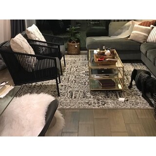 Safavieh Evoke Deb Vintage Boho Medallion Distressed Rug