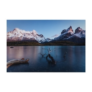 Torres Del Paine National Park Chile Driftwood Art Print/Poster - Bed ...