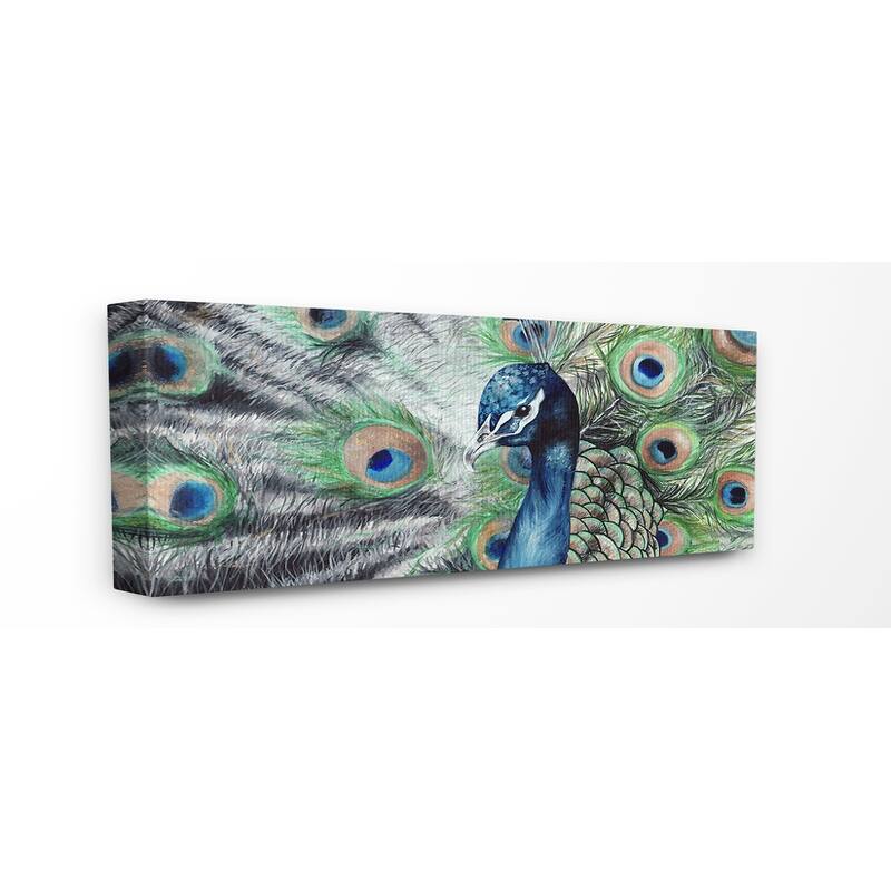Stupell Elegant Feathers Painted Peacock Canvas Wall Art Design By Katherine Klimitas - 10 x 24