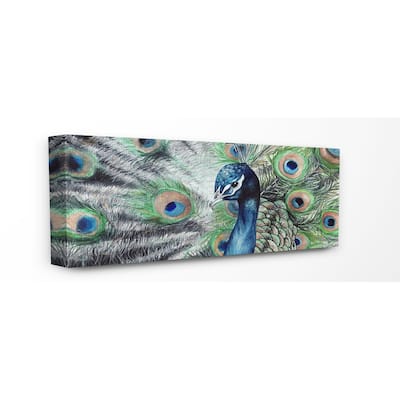 Stupell Elegant Feathers Painted Peacock Canvas Wall Art Design By Katherine Klimitas