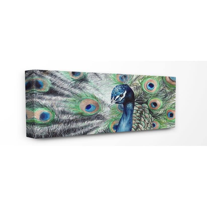 Stupell Elegant Feathers Painted Peacock Canvas Wall Art Design By Katherine Klimitas