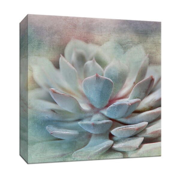 PTM Images 9-147931 PTM Canvas Collection 12" x 12" - "Pastel Succulent I" Giclee Flowers Art Print on Canvas