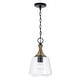 preview thumbnail 1 of 2, Amara 1-light Matte Black Pendant w/ Diamond Embossed Glass & Black Braided Cord