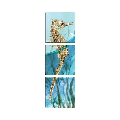 iCanvas "Delray Seahorse I" by Carol Robinson 3-Piece Canvas Wall Art Set