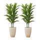 Option 2PK 5ft Faux Areca Palm