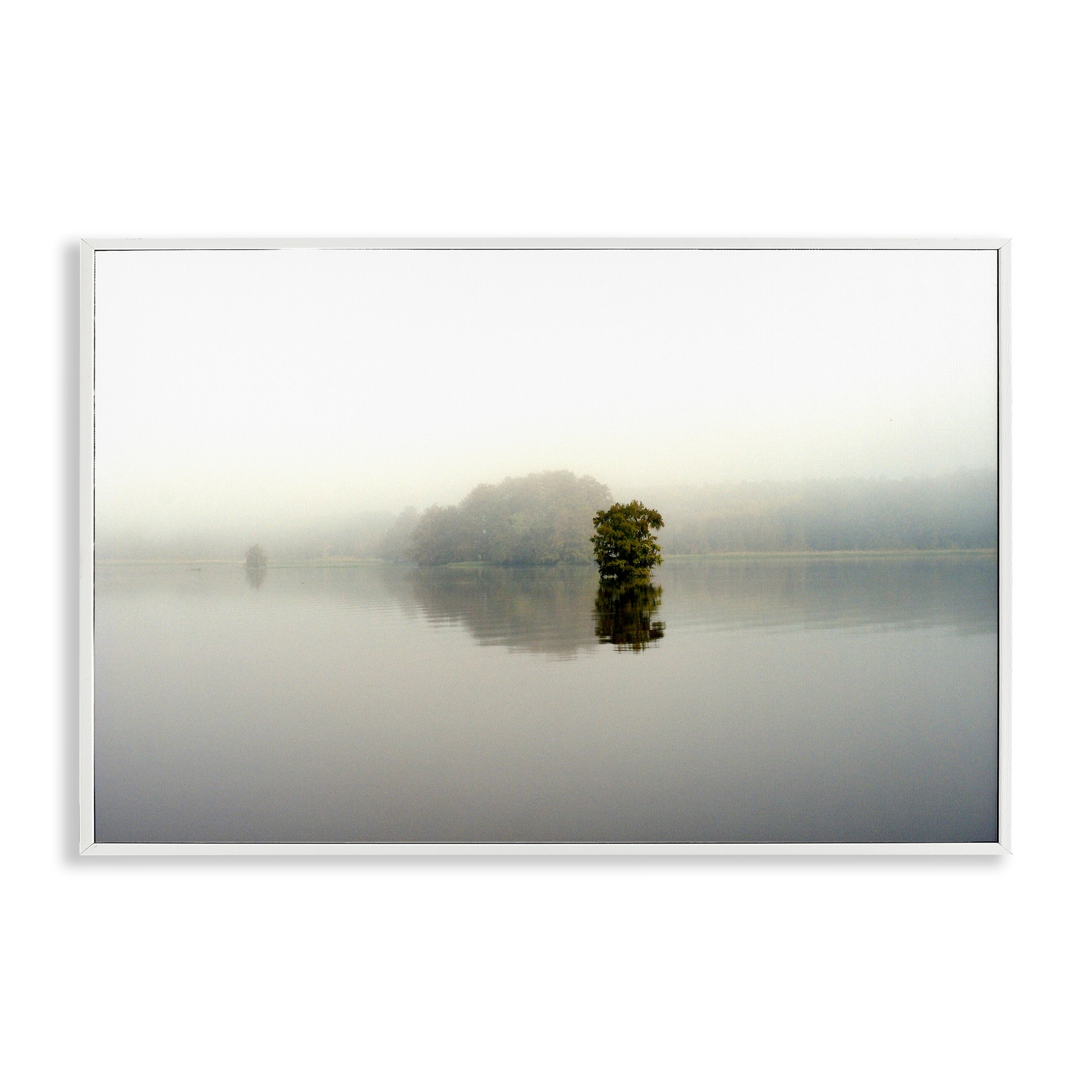 Stupell Misty Lake Reflection Framed Giclee Art Design By Gail Peck