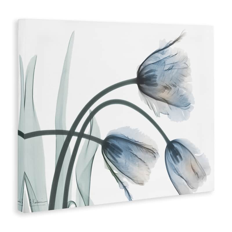 Stupell Trendy Mod Tulips Canvas Wall Art Design By Albert Koetsier