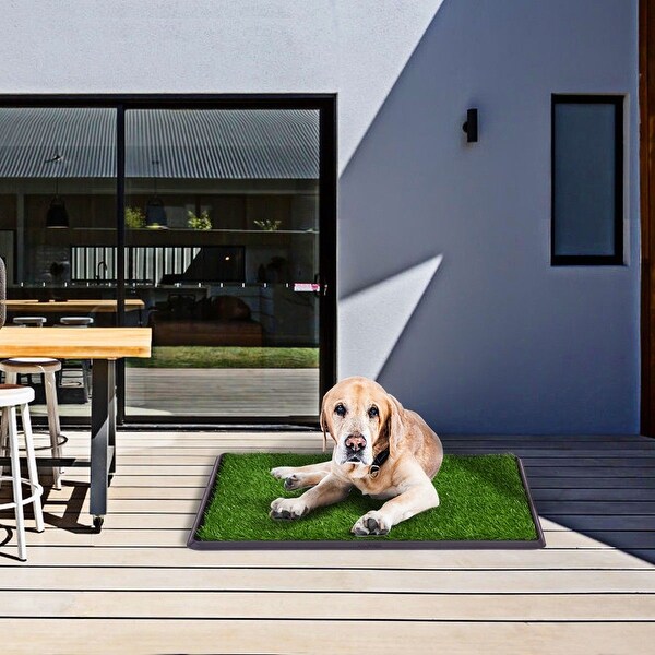 pet potty