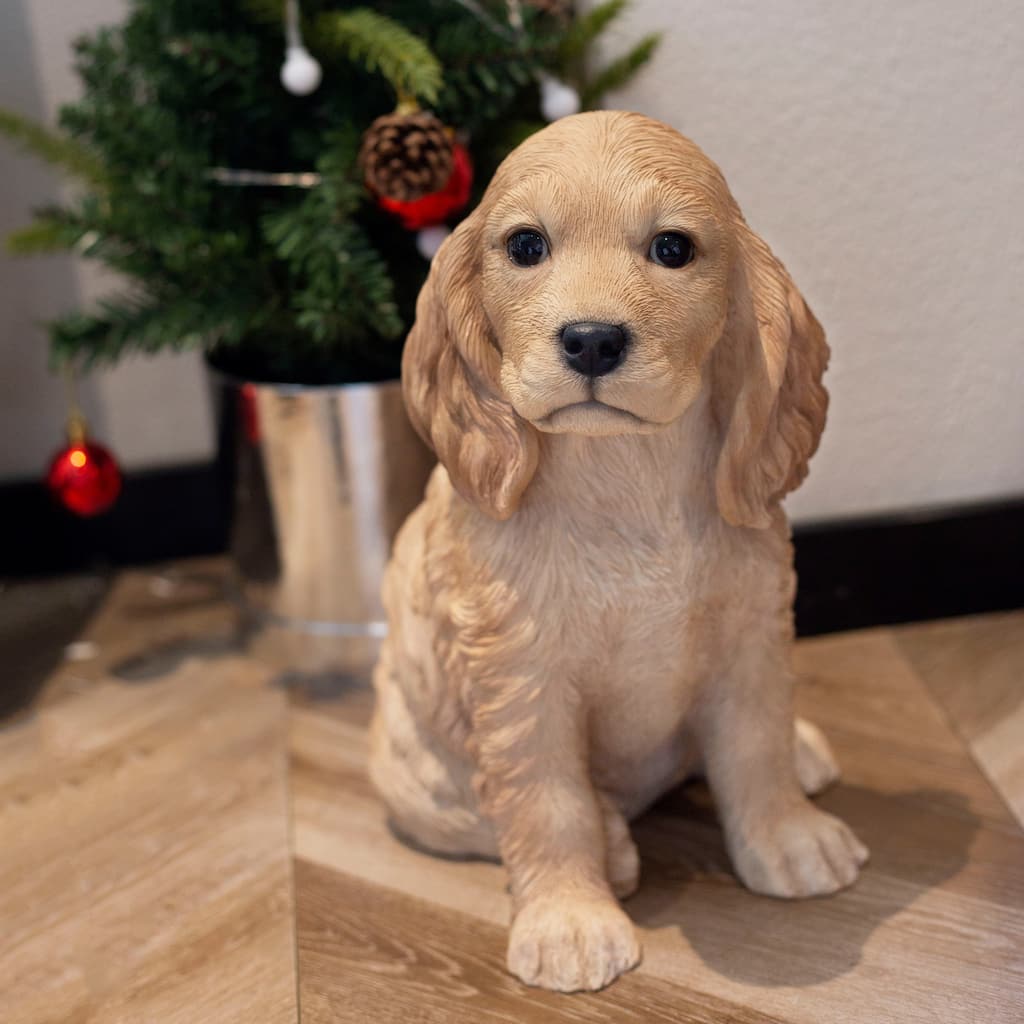 SoReal Brown Golden Cockapoo