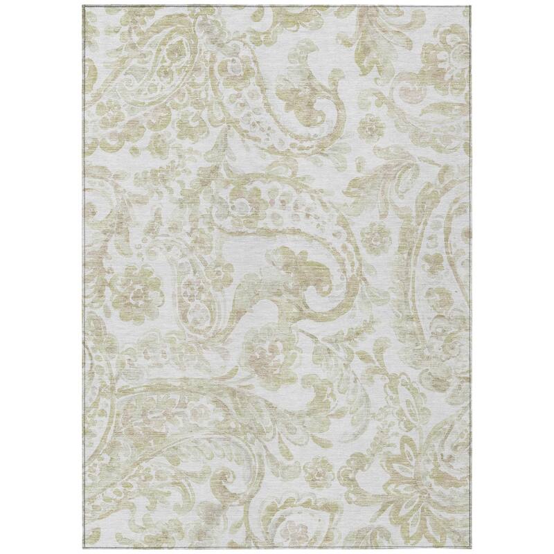 HomeRoots Paisley Transitional Rectangle Outdoor Rug