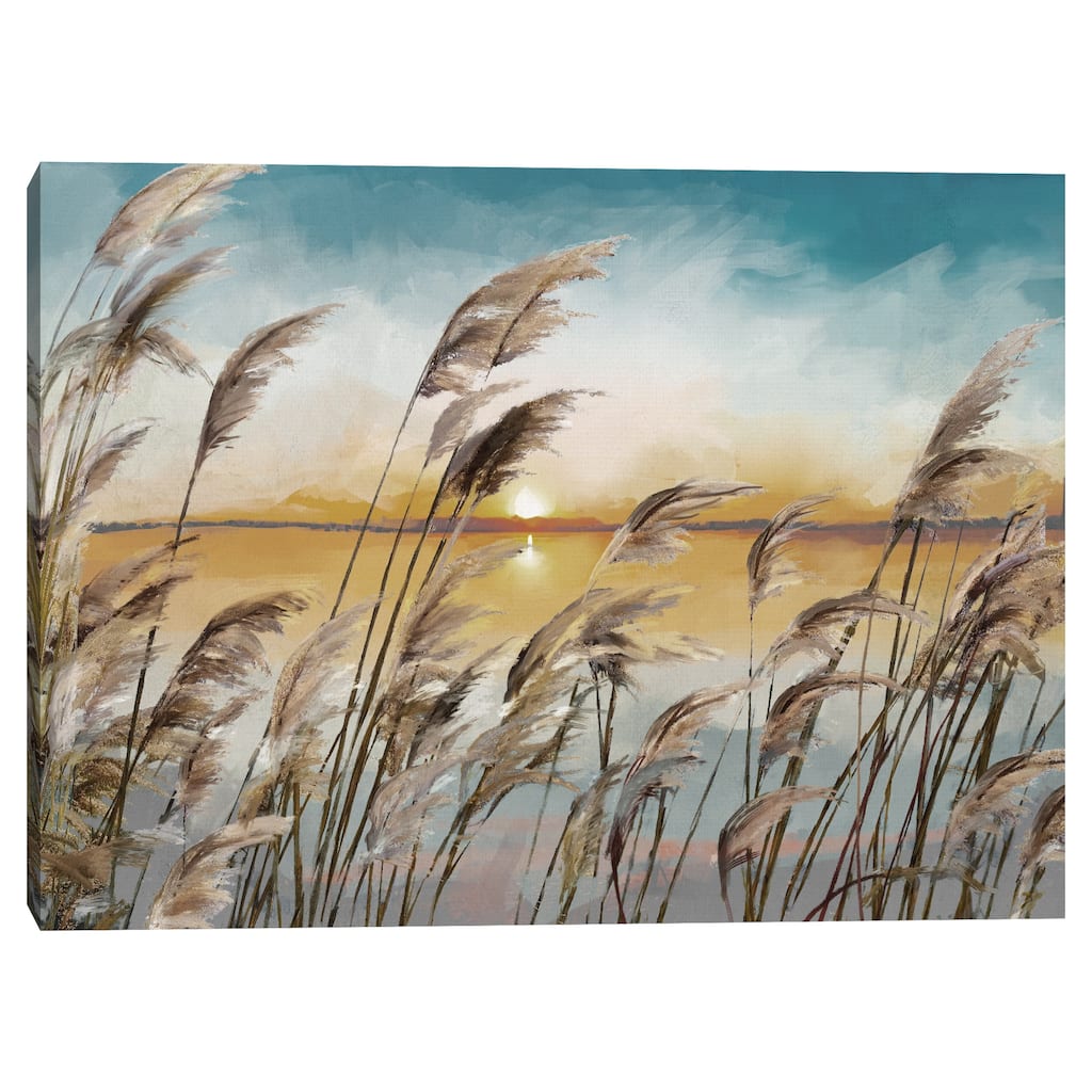 Morning Reeds Light by Studio Arts Canvas Art Print