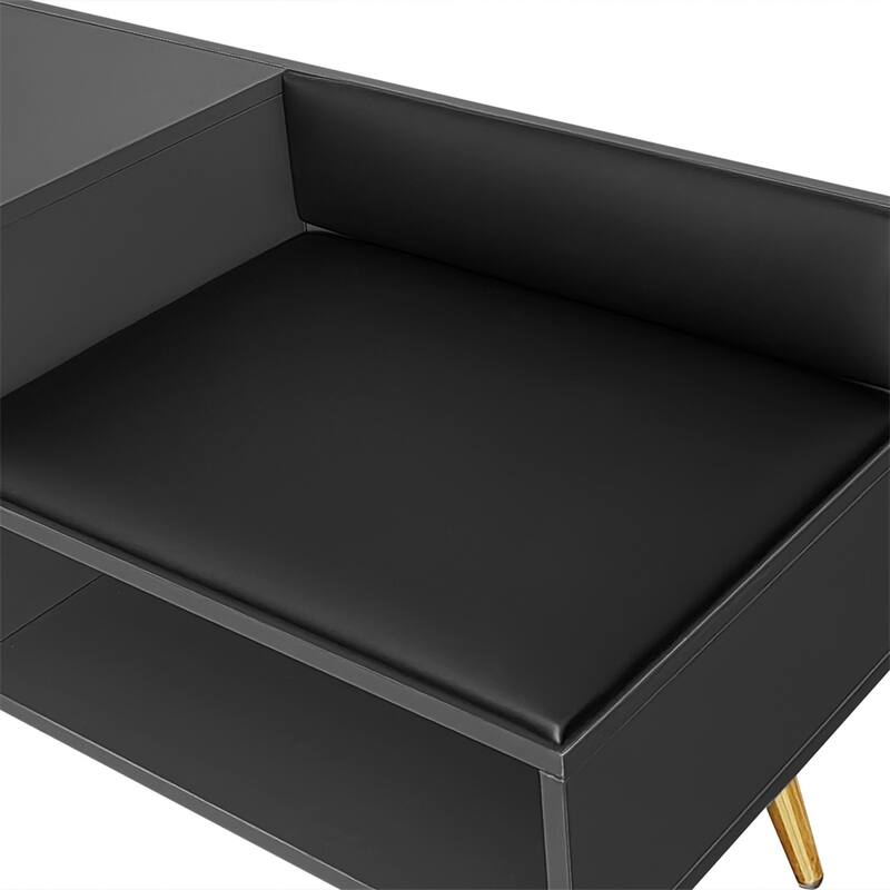 Modern Shoe Storage Bench with Hidden Storage and Upholstered Cushions