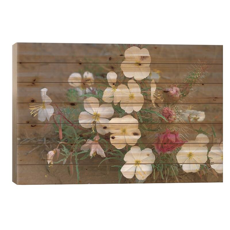 Evening Primrose With Grizzly Bear Cactus, North America Print On Wood by Tim Fitzharris - Multi-Color - 26x40x1.5
