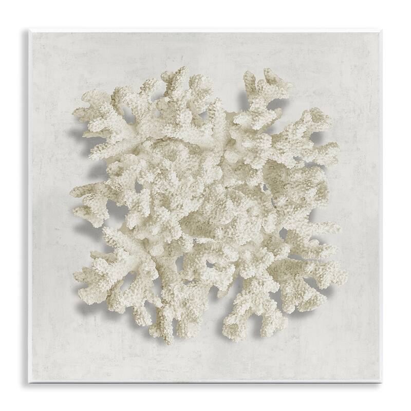 Stupell Aquatic Neutral Coral Wall Plaque Art Design By Caroline Kelly - 12 x 12