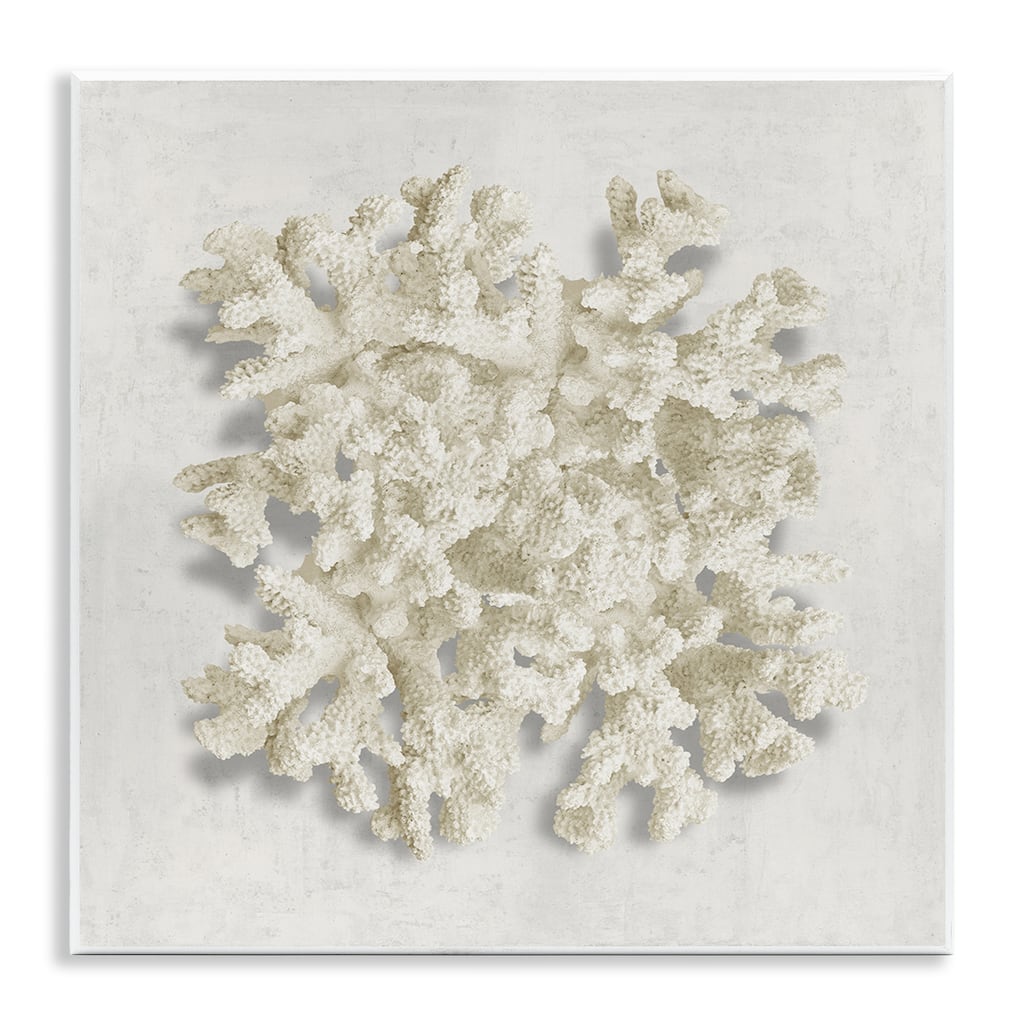 Stupell Aquatic Neutral Coral Wall Plaque Art Design By Caroline Kelly