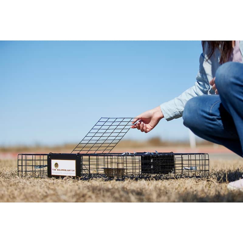 Rugged Ranch SQRTO Squirrelinator Trap CatchMor Live Animal 2 Door Metal Cage - 24.5 x 24.5 x 5 inches