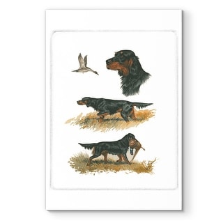 Gordon Setter -Premium Gallery Wrapped Canvas