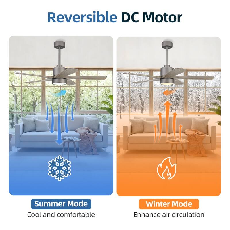WINGBO 54" and 64" 5 ABS Blades DC Motor Indoor Ceiling Fan with Light & Remote