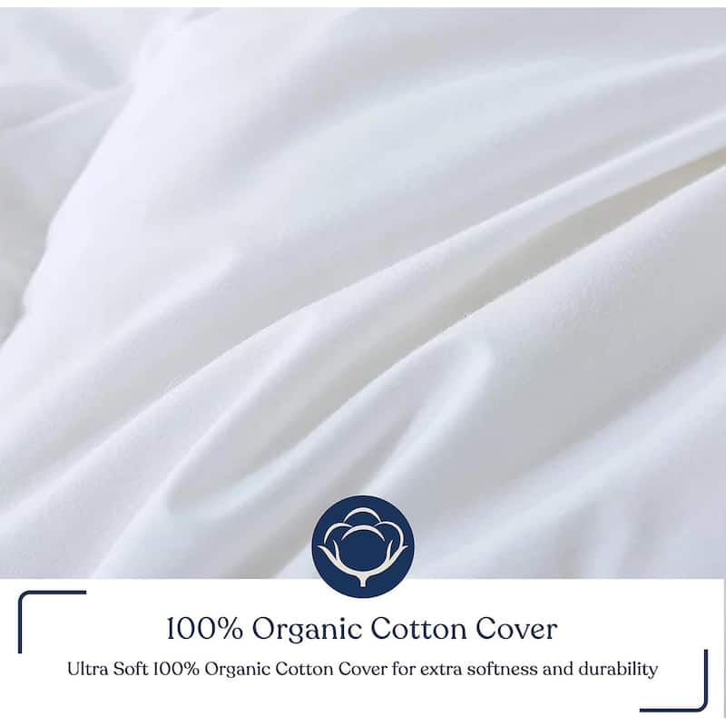 Delara Wool Duvet Insert 200GSM Summer/Spring GOTS Certified 100% Organic Cotton Shell