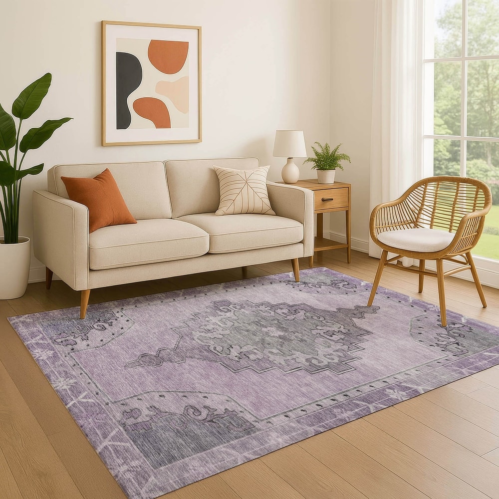Premium Washable Super Soft Vintage Traditional Mayfield Rug