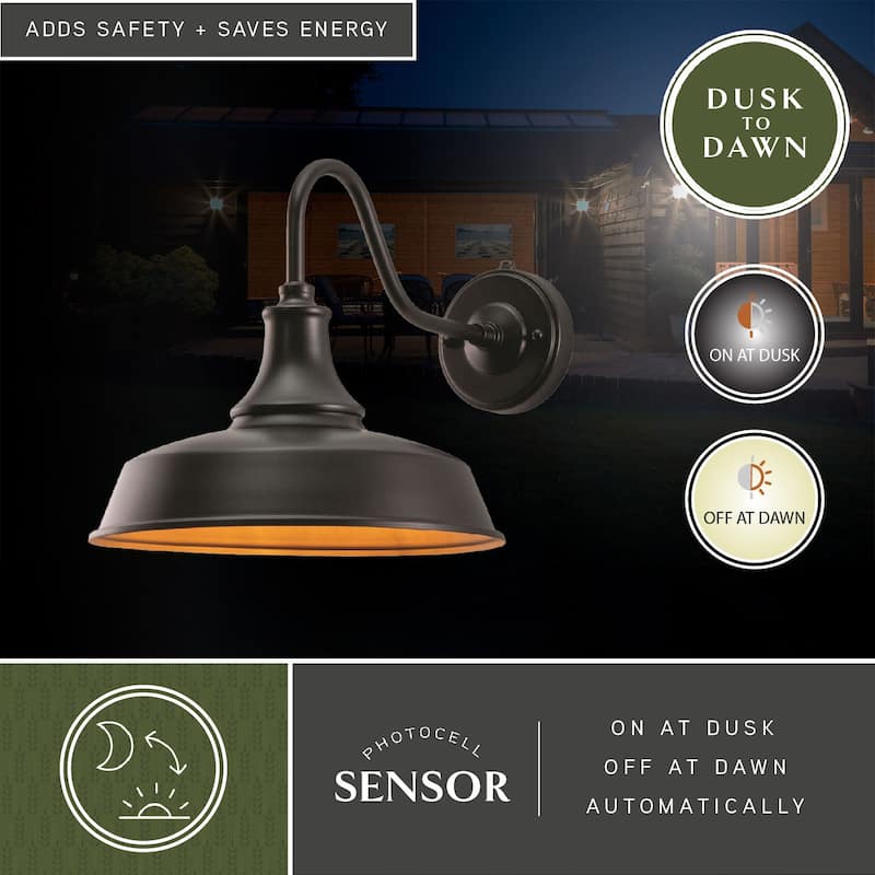 Dorado 1-light Bronze/ Gold Farmhouse Outdoor Wall Lantern - 12-in W x 11.5-in H x 18-in D