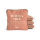 preview thumbnail 1 of 9, Joshua Tree National Park Dual Sided Pro Cornhole Bags (Set of 4) Burnt Orange