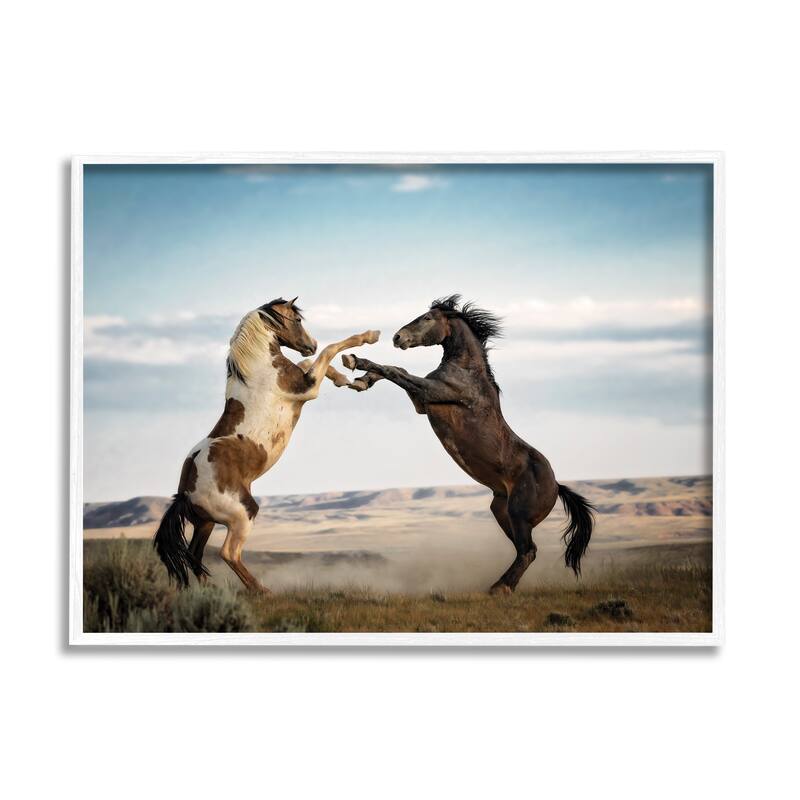 Stupell Fighting Horses Photography Framed Giclee Art Design by PBurchettePhoto