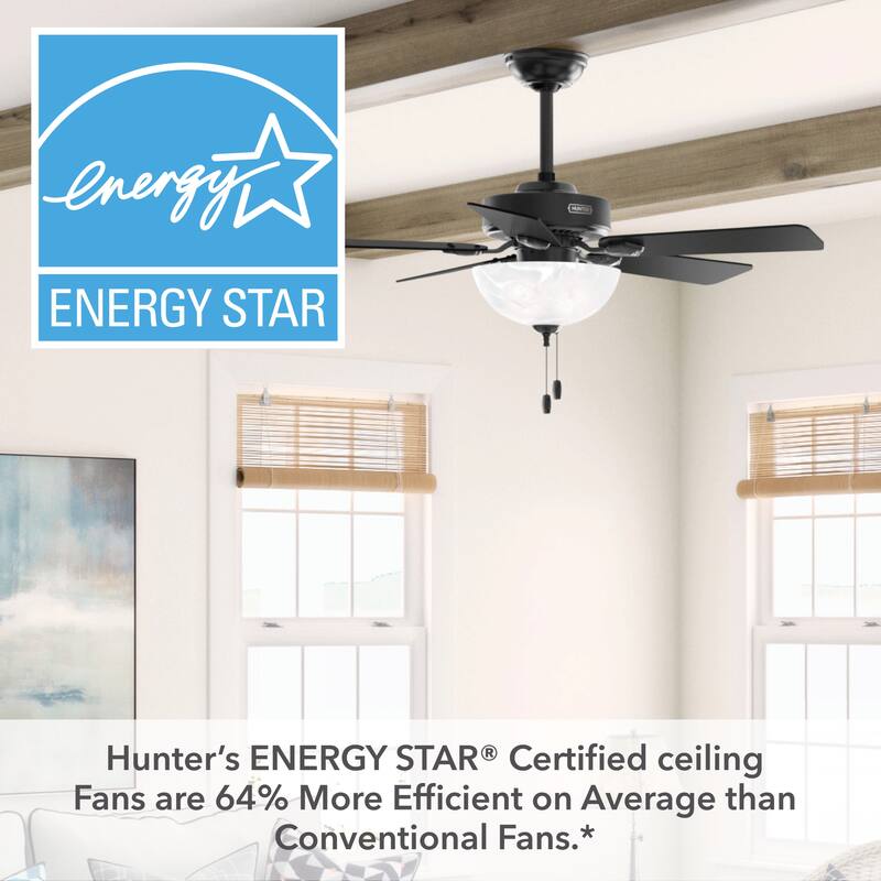 Hunter 44" Swanson Ceiling Fan with LED Light Kit & Pull Chain - Casual Traditional - 4 Speed DC Motor - ENERGY STAR!