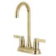 Option Polished Brass