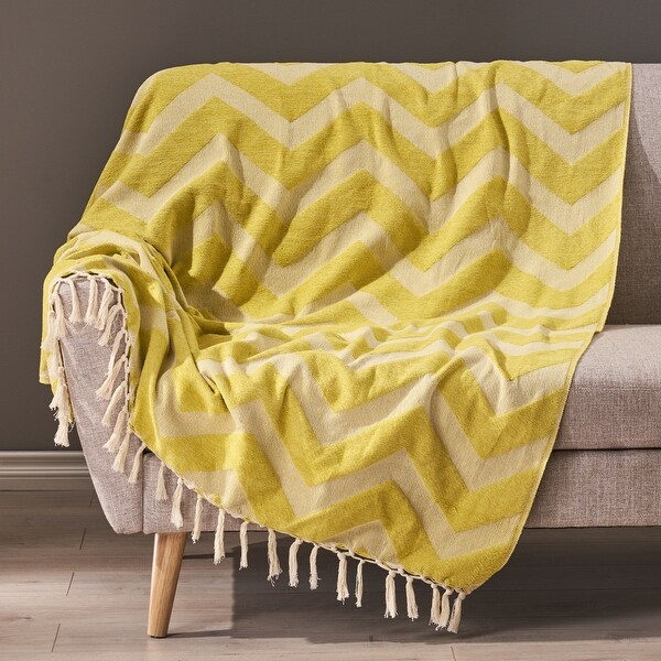 Bemiss Hand-Loomed Throw Blanket by Christopher Knight Home. Opens flyout.