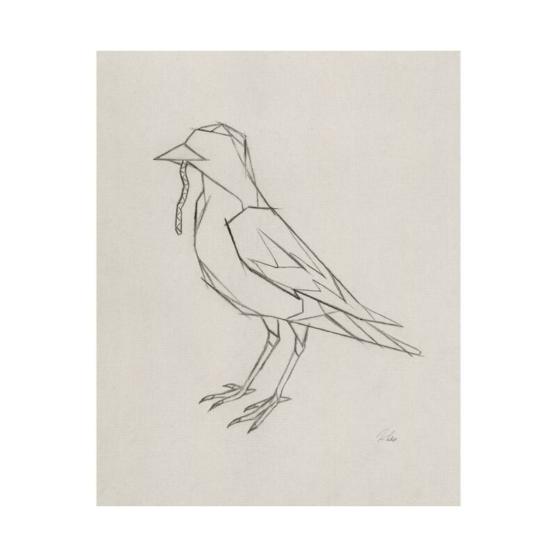Geo Robin (28 x 35) Canvas Art Print - Large