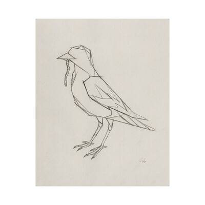 Geo Robin (28 x 35) Canvas Art Print