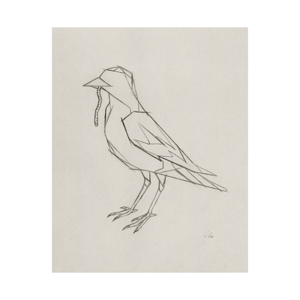 Geo Robin (28 x 35) Canvas Art Print