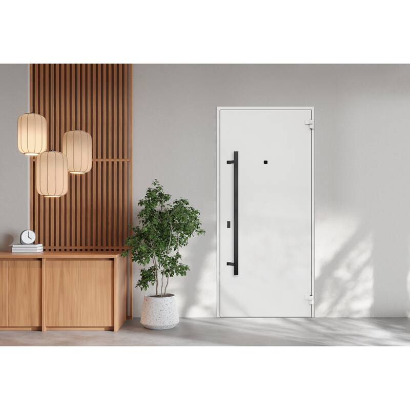 Front Prehung Steel Door 6072 Black Enamel Side and Top Window Sidelite W36+14xH80+16 Lh I Bedroom Door Bathroom Door