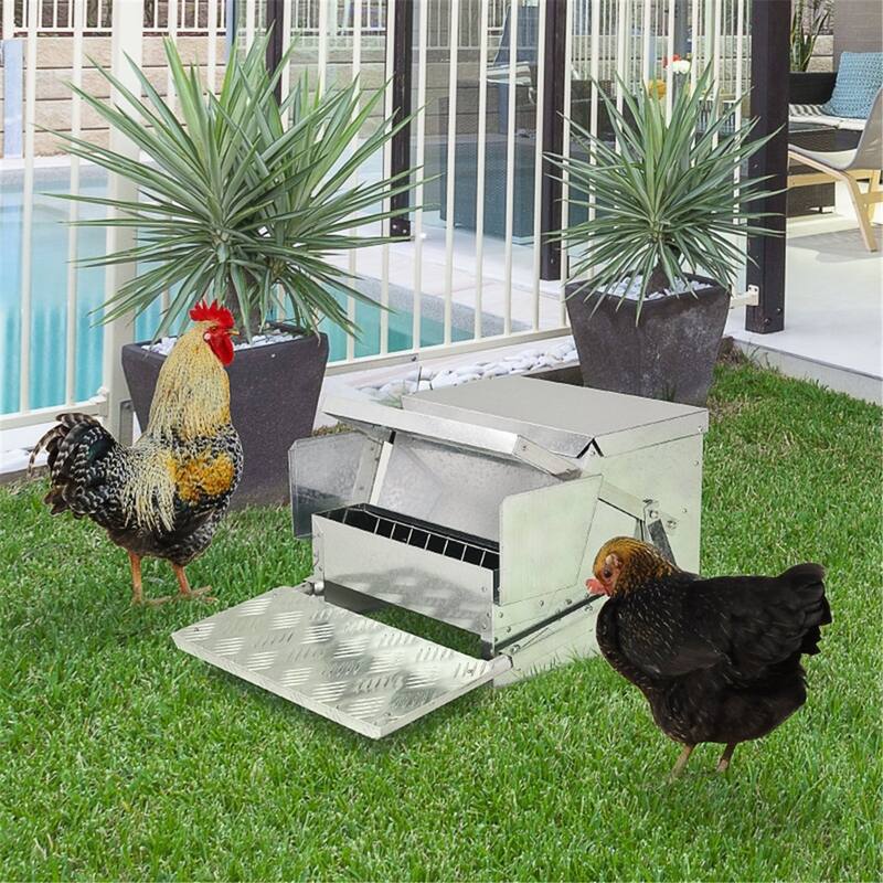 Durable Aluminum Chicken Feeder with Lid for Dry Feed - Silver - 16.5" L x 22" D x 11.25" H - 16.5" L x 22" D x 11.25" H