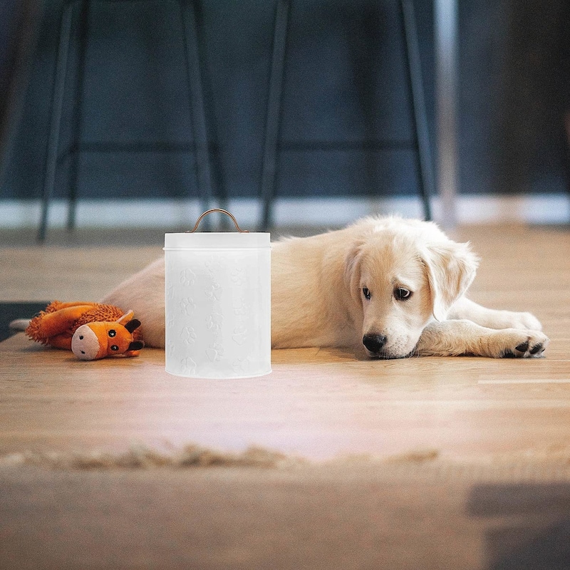 Amici Pet Puppy Paws Canister Small - 64 oz