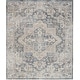 preview thumbnail 32 of 104, Nourison Astra Machine Washable Distressed Medallion Area Rug