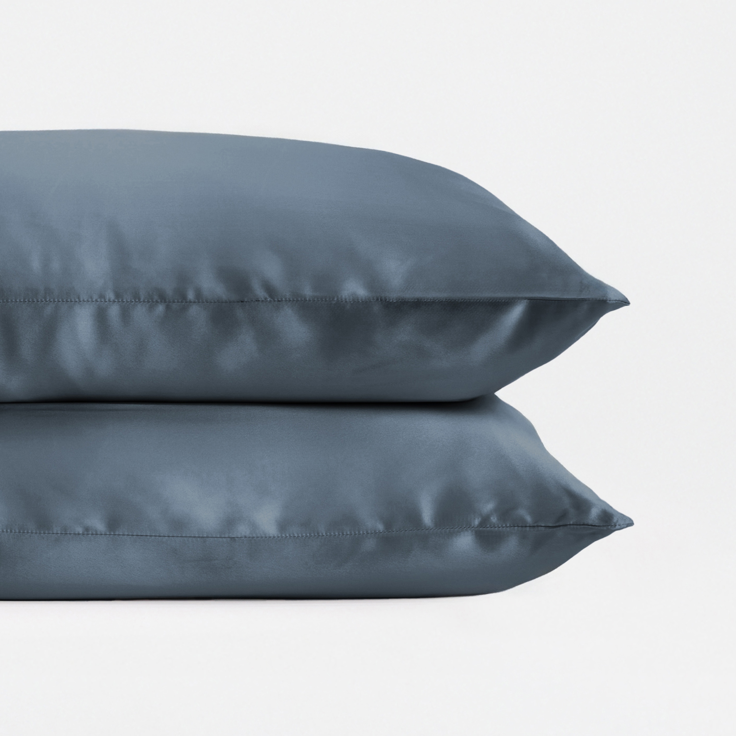 Becky Cameron 100% Mulberry Silk Zippered Pillowcase 2 Piece Set