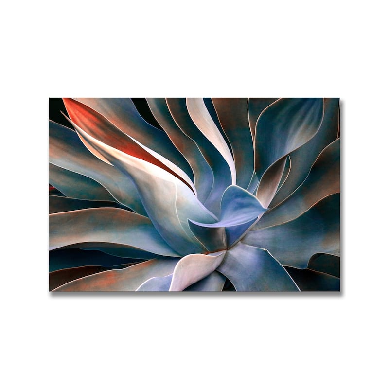"The Colors in Leaves" Framed Print Wall Art by Robin Wechsler