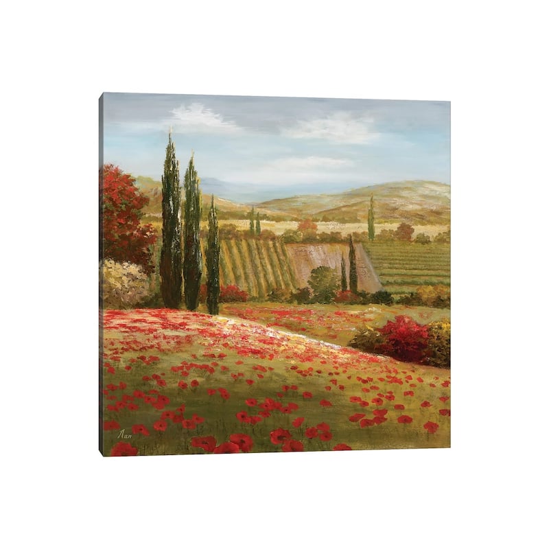 iCanvas "Tuscan Cypress I" by Nan Canvas Print