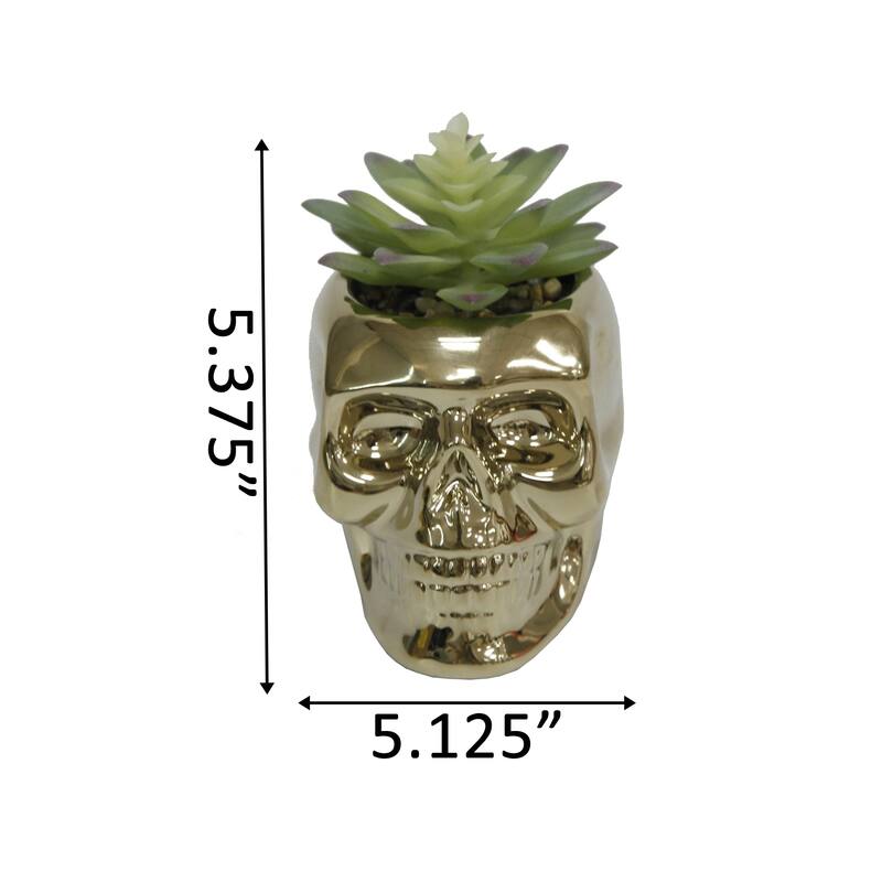 Met Skull Succ