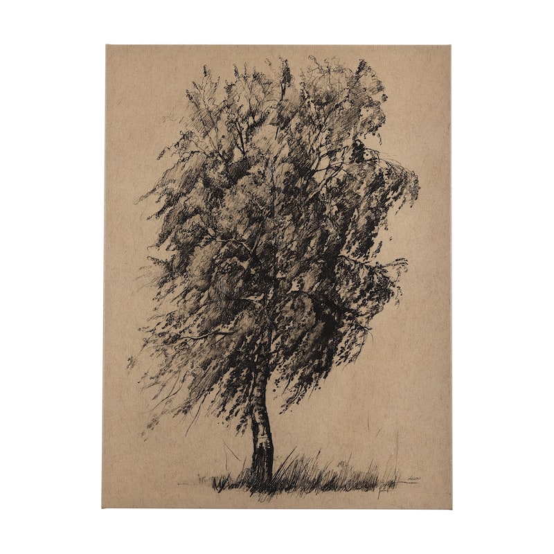 Tree Drawing II (27 x 36) Canvas Art Print - Small