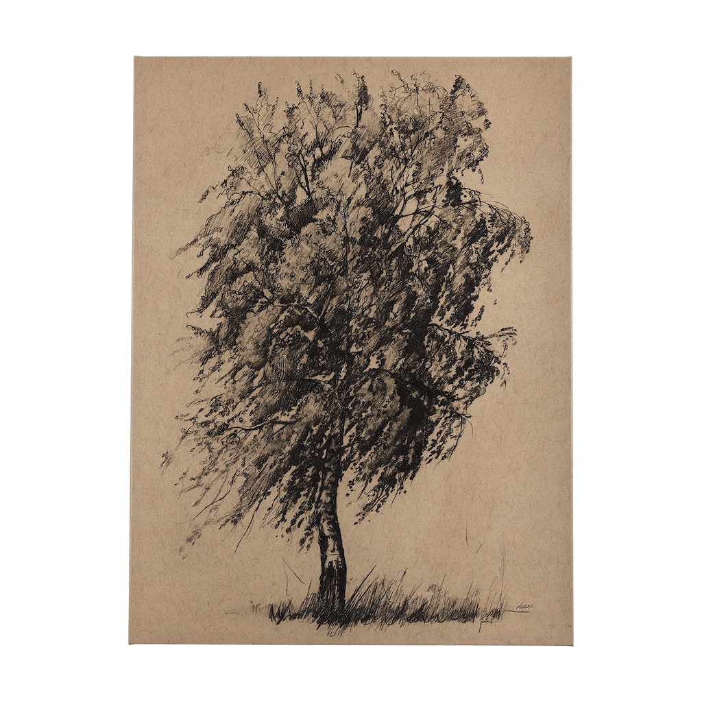 Tree Drawing II (27 x 36) Canvas Art Print