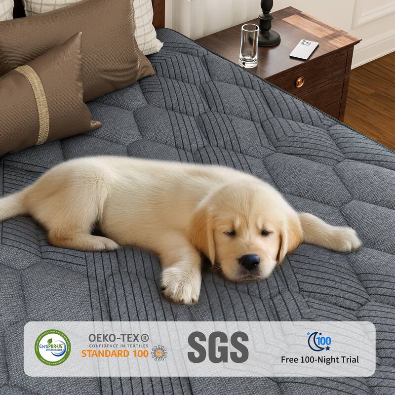 SweDrea 8/12 in. Firm Pillow Top Gel Memory Foam Innerspring Hybrid Mattress with CertiPUR-US, SGS and OEKO-TEX Certified