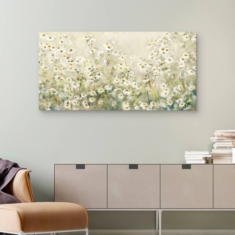 Daytime Daisies by Studio Arts Canvas Art Print
