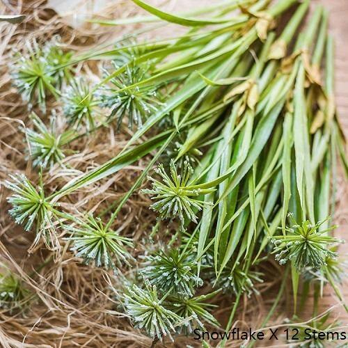 Rusticreach Snowflake Grass With Iron Hanging Planter Set Green White Overstock 20822047