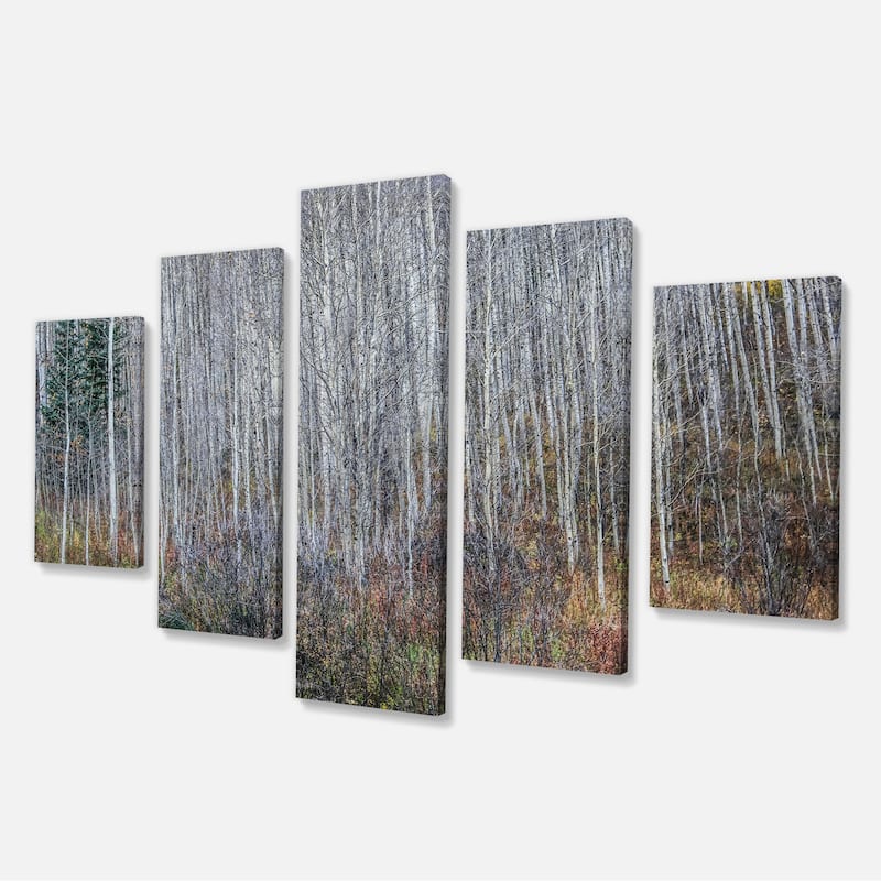 Designart "Maroon Bells Mountain View" Modern Forest Canvas Art