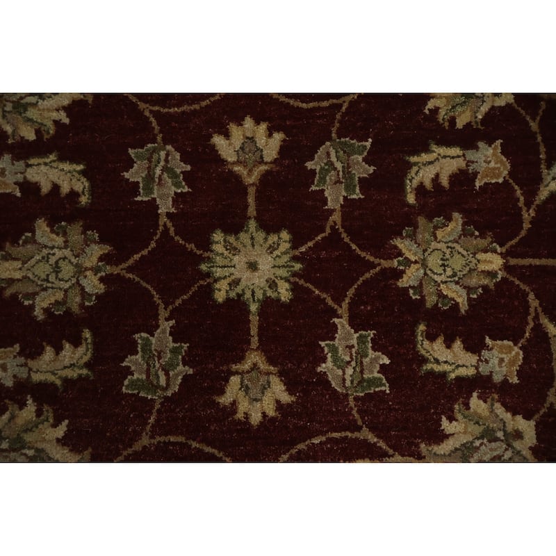 Hand Knotted Oriental 100% Wool Carpet Traditional All-Over Red Peshawar Area Rug - 4' 0'' X 4' 0''