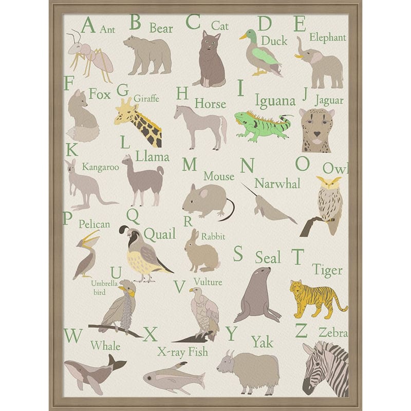 Amanti Art Framed Fabric Pinboard Animal Alphabet II by Regina Moore Printed Bulletin Board - Board Size 24 x 32